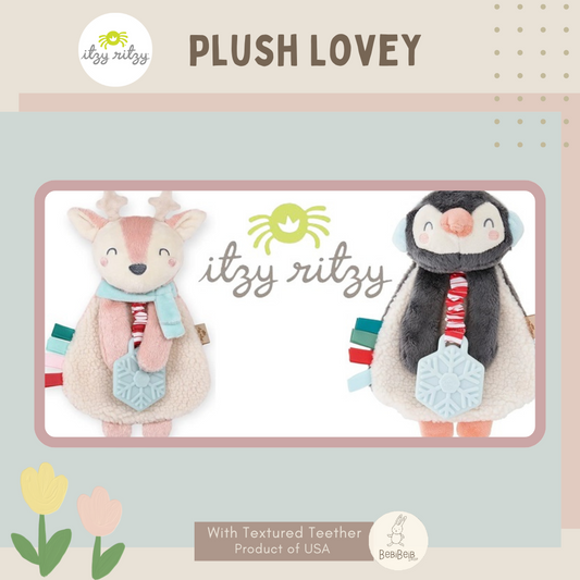 Itzy Ritzy Lovey Plush Teether Toy