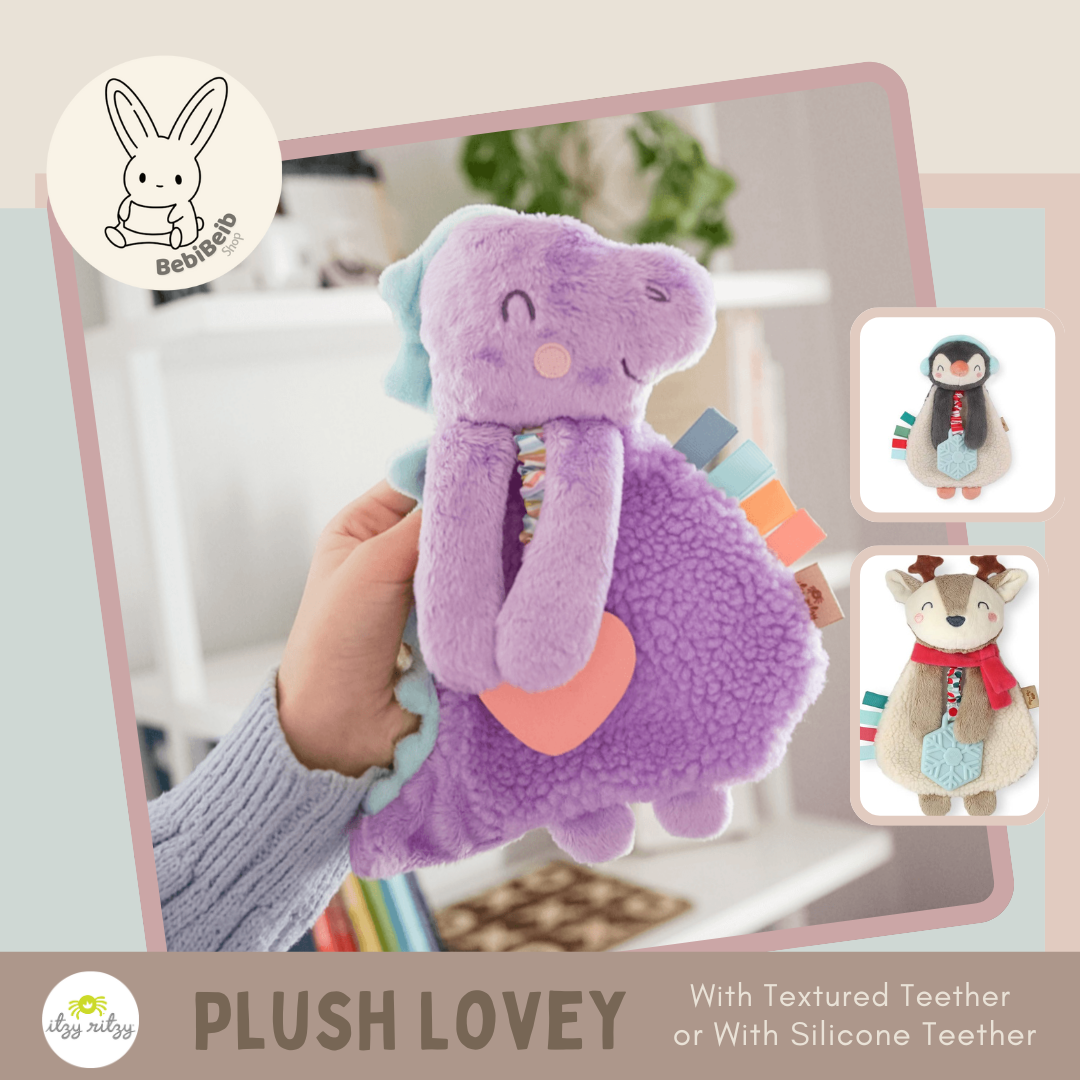 Itzy Ritzy Lovey Plush Teether Toy